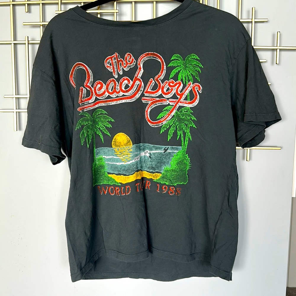Daydreamer Beach Boys World Tour 1988